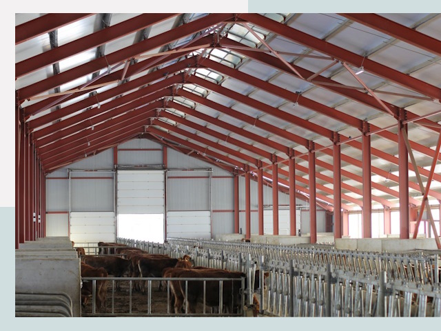 Строительство коровников в Омске